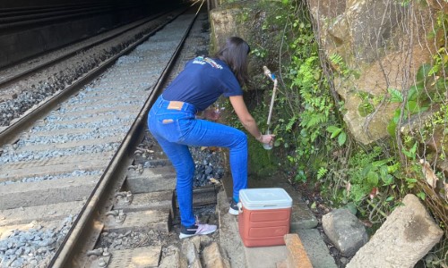 Barra do Piraí: Consumo de água das minas exige cuidado e tratamento antes do uso